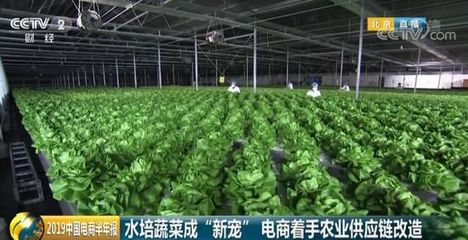 618消费观察 90后弃防脱改购假发，00后抗衰老囤蔬菜