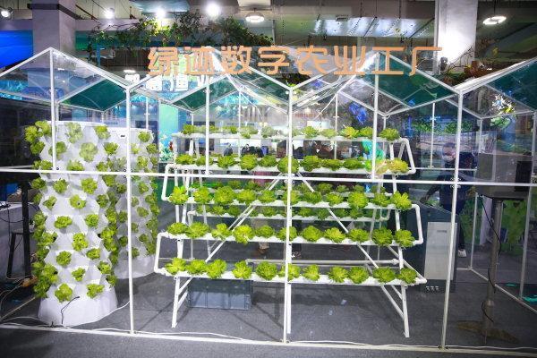 新主体、新技术、新产品 从今年农博会看“浙”里有新能力的蔬菜产业